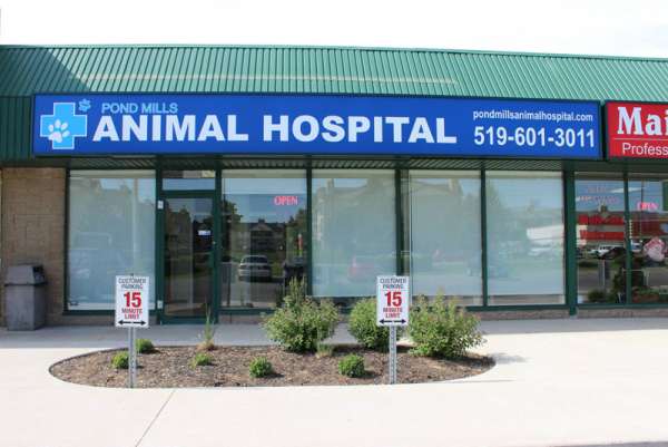 About – Pond Mills Animal Hospital London, Ontario
